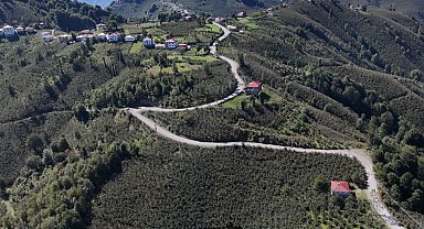 Ordu Gürgentepe'de ulaşım konforu artıyor