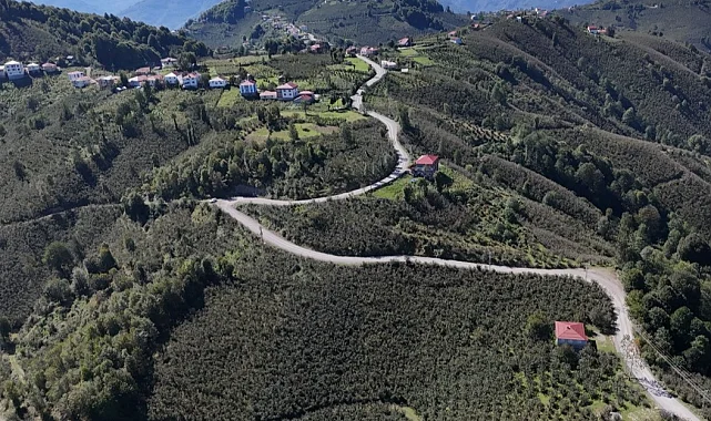 Ordu Gürgentepe'de ulaşım konforu artıyor
