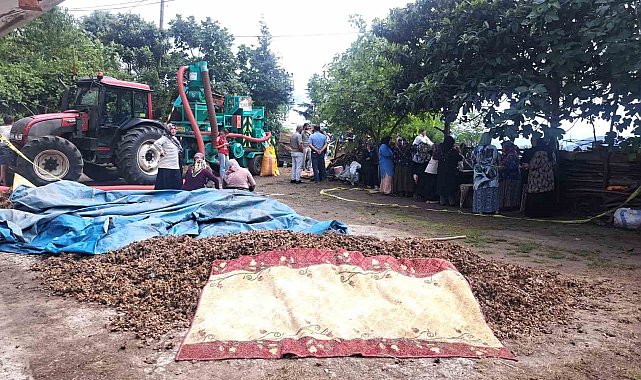 Ordu'da silahlı saldırı: 2 ölü