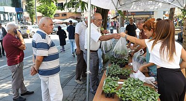 Ordu'da kışlık sebze atağı: 200 bin fide üreticiyle buluşuyor
