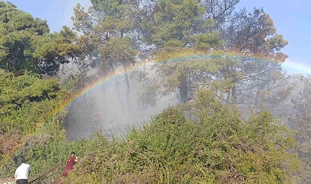 Orman yangınında uçaktan atılan su gökkuşağı oluşturdu