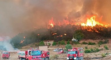 Orman yangınlarıyla mücadelede gönüllülere yeni haklar... Orman gönüllüleri de 'şehit' statüsüne alındı