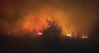 Osmaniye'de makilik yangını söndürüldü