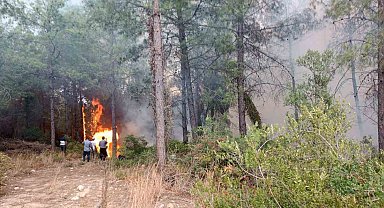 Osmaniye'de orman yangını başladı