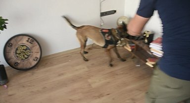 Osmaniye'de uyuşturucu operasyonu: 2 tutuklama