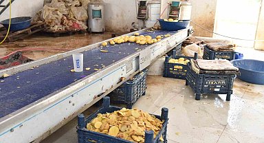 Otel ve restoranlara verilen 1,5 ton işlenmiş patates imha edildi