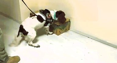 Otobüsle getirdiği 4,5 kilo uyuşturucuyu satamadan yakalandı