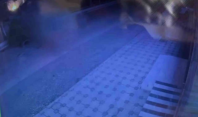 Otomobil ağaca çarptı: 3 yaralı