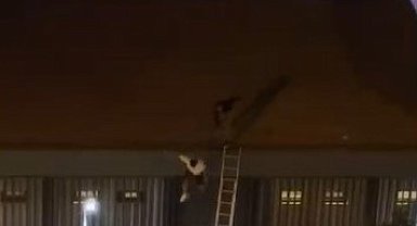 Özel güvenlik görevlileri, konseri kaçak izleyen genci çatıdan aşağı attı