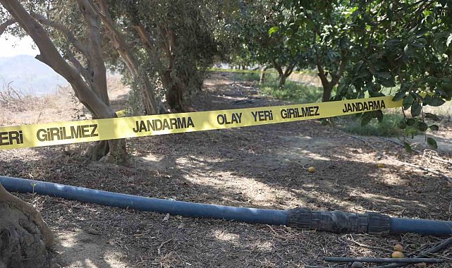 Para için arkadaşını narenciye bahçesinde satırla doğrayan şahıs yakalandı