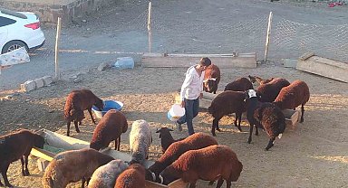 Patnos'ta besiciler kış hazırlığını sürdürüyor