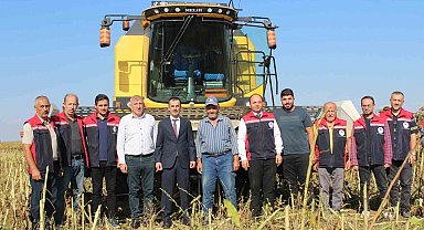 Pazar'da ayçiçeğinde 600 ton ürün bekleniyor