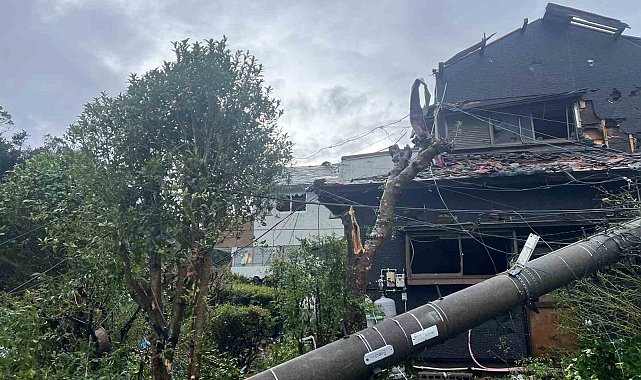 Peipah Tayfunu Japonya'yı vurdu: 14 bin 450 hanede elektrik kesintisi