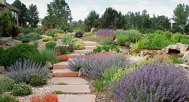 PEYZAJDER: Kuraklık peyzaj anlayışını değiştiriyor