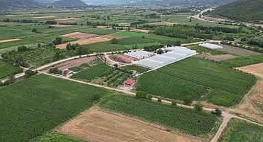 Prof. Dr. Gerçekçioğlu: "Kış bahar oldu; dona dayanan meyve türleri araştırılmalı"