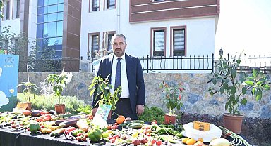 Pursaklar Belediyesi 'Ata Tohumları'ndan elde ettiği sebzelerin hasadını yaptı