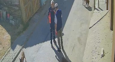 "Köpeklerimi sen mi şikayet ettin" diyerek yaşlı adamı tekme tokat dövdü