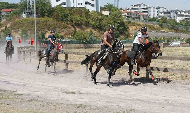 Rahvan atları Gölcük'te birincilik için koştu