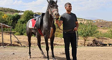 Rahvan atların yolculuğu: Orta Asya'dan Osmanlı'ya, bugün Palu'da