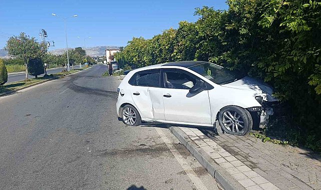 Refüjdeki ağacı deviren otomobil duvara çarparak durabildi: 1 yaralı