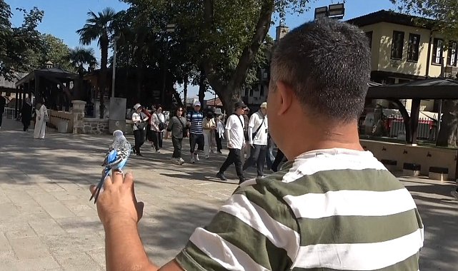 Sahibinin omzunda ve elinde çarşıyı geziyor