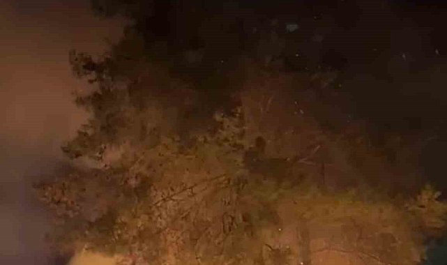 Sakar rampasında orman yangını
