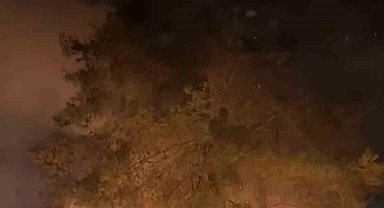 Sakar rampasında orman yangını