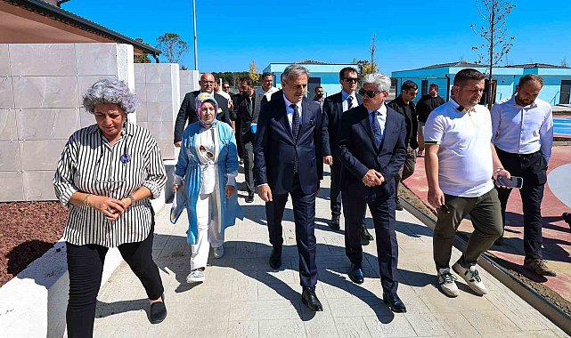 Sakarya'da sokak hayvanları için örnek çalışma