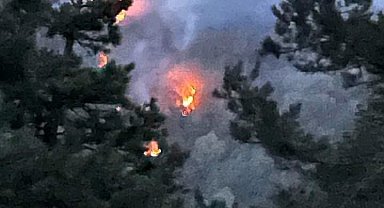 Sakarya'daki orman yangını kontrol altına alındı