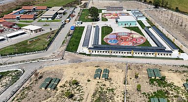 Sakarya'da sokak hayvanları için örnek çalışma