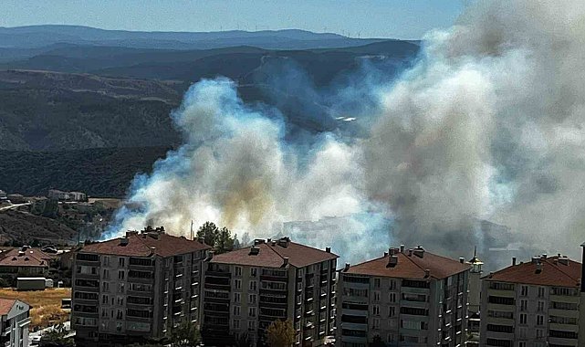 Salça yaparken çıkan kıvılcımla 30 dönüm makilik alanı kül oldu