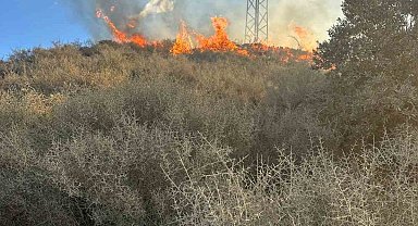 Samandağ'da arazi yangını