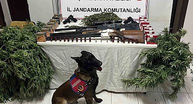 Şanlıurfa'da 1 kilo 508 gram kubar esrar ele geçirildi: 3 gözaltı