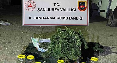 Şanlıurfa'da 13 kilo 600 gram skunk ele geçirildi
