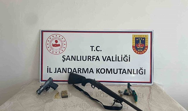 Şanlıurfa'da 4 ilçede eş zamanlı operasyon: Çok sayıda silah ele geçirildi