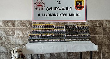 Şanlıurfa'da 420 paket gümrük kaçağı sigara ele geçirildi