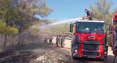 Şanlıurfa'da orman yangını