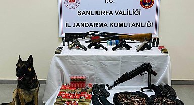 Şanlıurfa'da ruhsatsız silah operasyonu