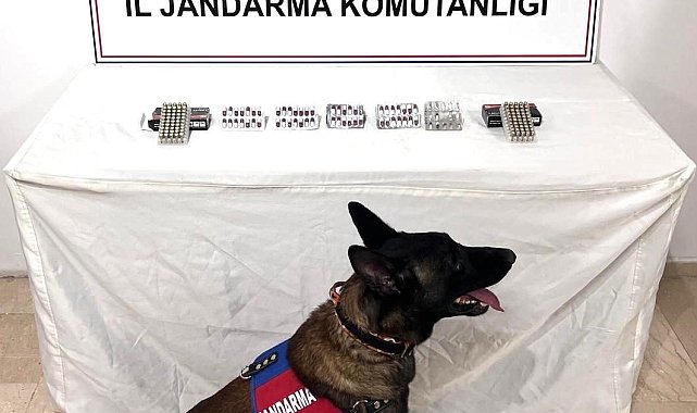 Şanlıurfa'da uyuşturucu madde ele geçirildi