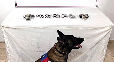 Şanlıurfa'da uyuşturucu madde ele geçirildi