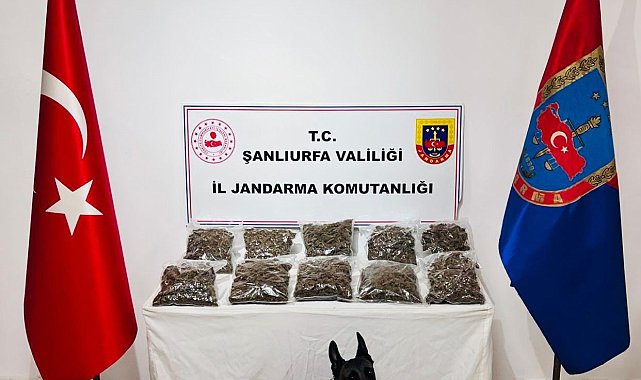 Şanlıurfa'da uyuşturucu operasyonu: 1 gözaltı