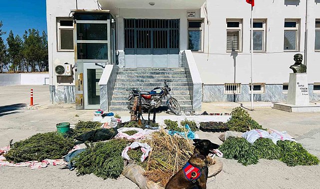 Şanlıurfa'da uyuşturucu operasyonu: 3 gözaltı