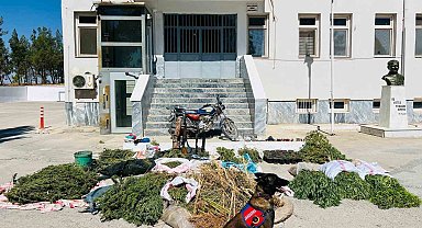 Şanlıurfa'da uyuşturucu operasyonu: 3 gözaltı