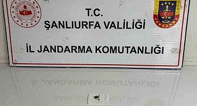 Şanlıurfa'da uyuşturucu operasyonu: 4 gözaltı