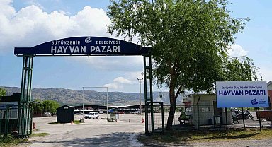 Şap hastalığı sebebiyle Büyükşehir Hayvan Pazarı kapatıldı