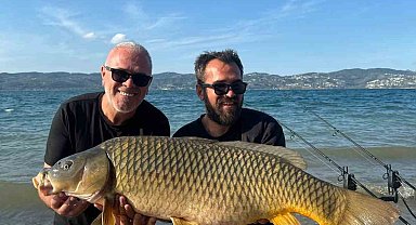 Sapanca Gölü'nde 18 kiloluk dev sazan: O anlar kamerada