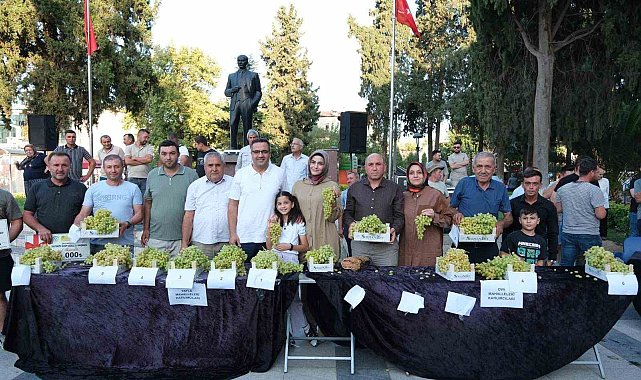 Sarıgöl'de Sultani üzüm yarışması