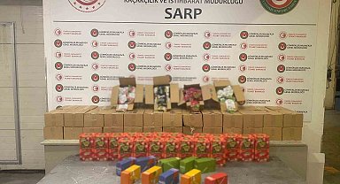 Sarp Gümrük Kapısı ve İstanbul'da 601 kilo uyuşturucu ele geçirildi