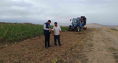 Şeker pancarı hasadı başladı