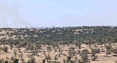 Selendi'de makilik alanda çıkan yangın söndürüldü